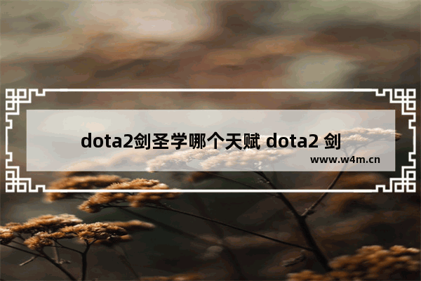 dota2剑圣学哪个天赋 dota2 剑圣 剑刃风暴