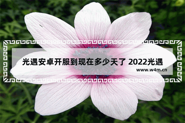 光遇安卓开服到现在多少天了 2022光遇手机版