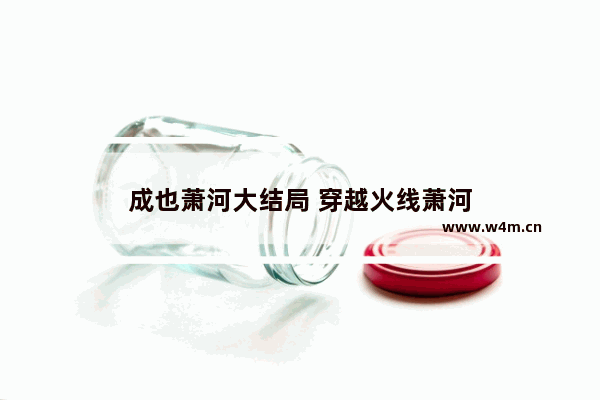 成也萧河大结局 穿越火线萧河