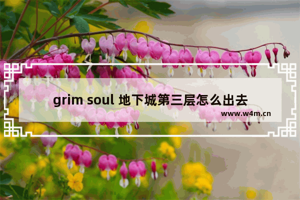 grim soul 地下城第三层怎么出去 末世地下城与勇士