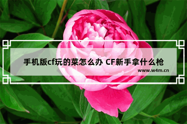 手机版cf玩的菜怎么办 CF新手拿什么枪好我是很菜的