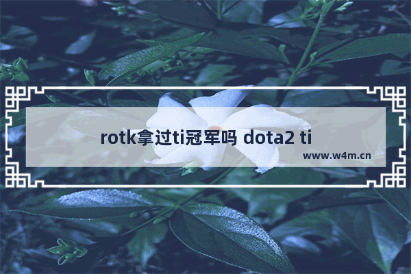 rotk拿过ti冠军吗 dota2 ti4 冠军