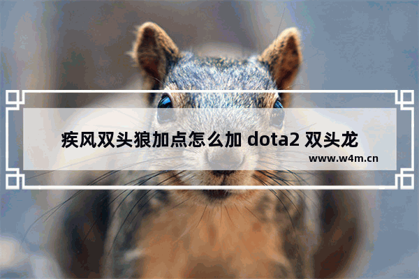 疾风双头狼加点怎么加 dota2 双头龙加点