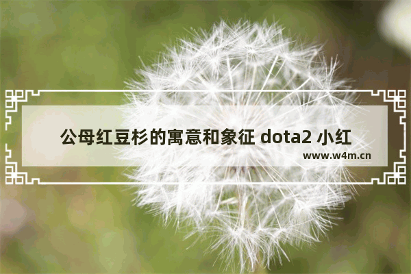 公母红豆杉的寓意和象征 dota2 小红本不朽3