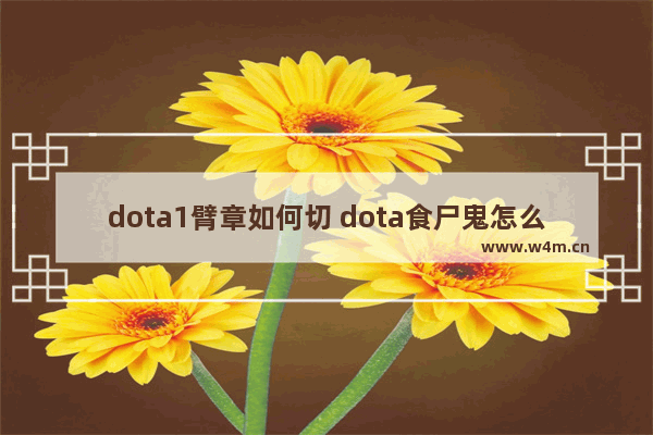 dota1臂章如何切 dota食尸鬼怎么出装