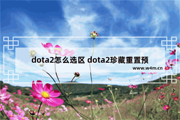 dota2怎么选区 dota2珍藏重置预览怎么看