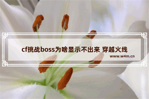 cf挑战boss为啥显示不出来 穿越火线挑战boss