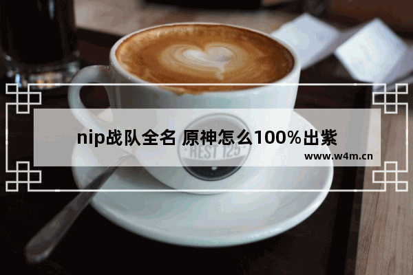 nip战队全名 原神怎么100%出紫