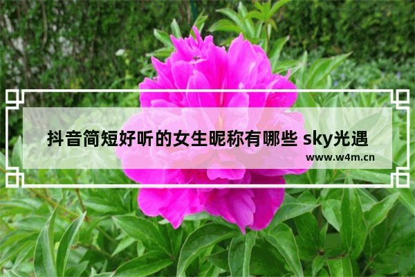 抖音简短好听的女生昵称有哪些 sky光遇团酱