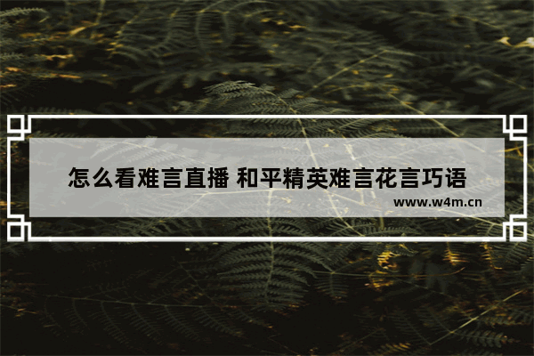 怎么看难言直播 和平精英难言花言巧语