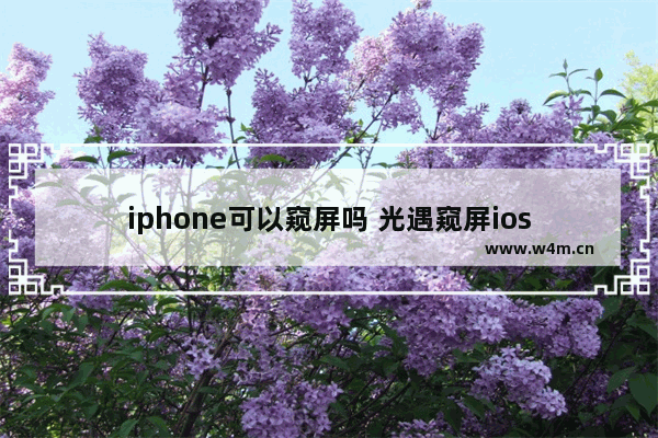 iphone可以窥屏吗 光遇窥屏ios