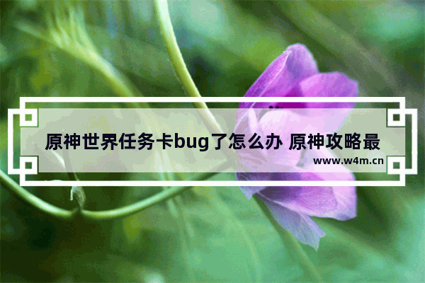 原神世界任务卡bug了怎么办 原神攻略最新bug