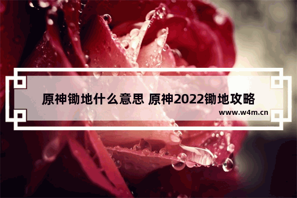 原神锄地什么意思 原神2022锄地攻略