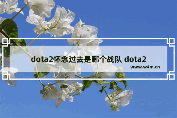 dota2怀念过去是哪个战队 dota2最喜欢的战队