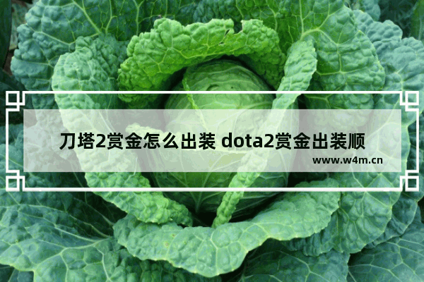 刀塔2赏金怎么出装 dota2赏金出装顺序