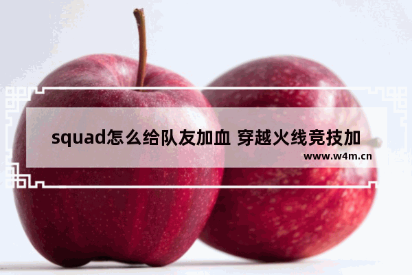 squad怎么给队友加血 穿越火线竞技加血