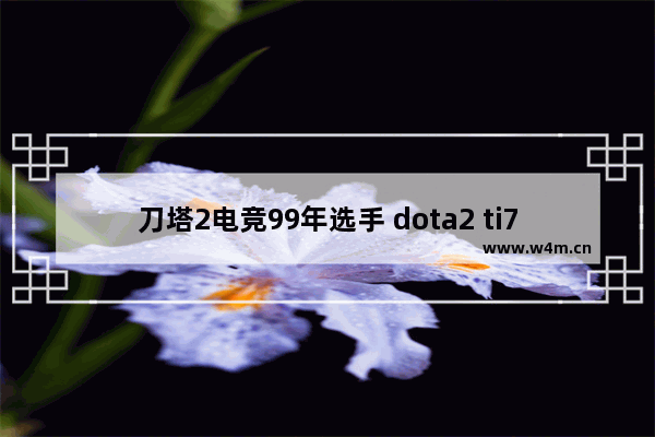 刀塔2电竞99年选手 dota2 ti7 时间