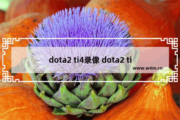 dota2 ti4录像 dota2 ti4录像