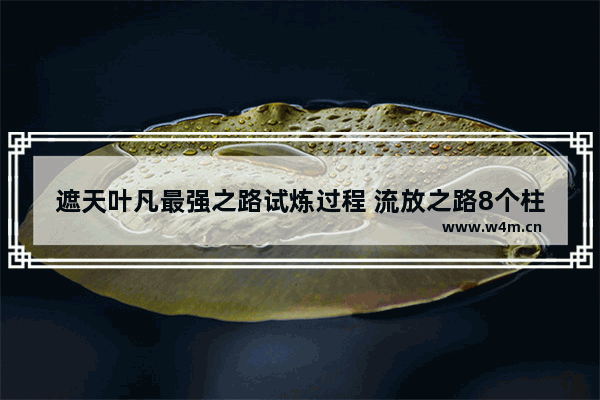 遮天叶凡最强之路试炼过程 流放之路8个柱子开关顺序