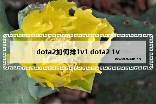 dota2如何排1v1 dota2 1v1