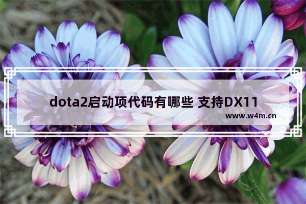 dota2启动项代码有哪些 支持DX11的显卡用dx11和dx9哪个玩游戏帧数高