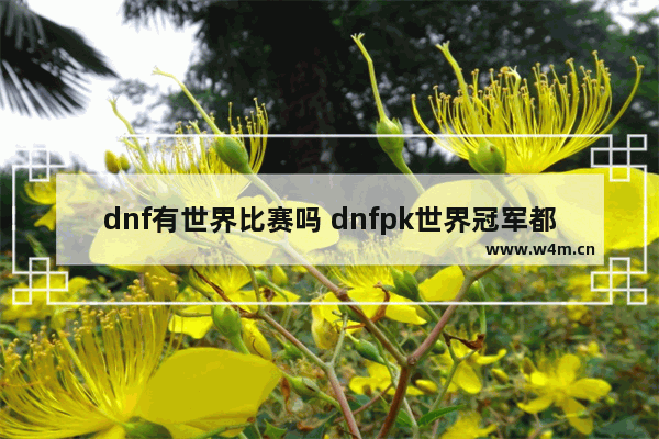 dnf有世界比赛吗 dnfpk世界冠军都有谁