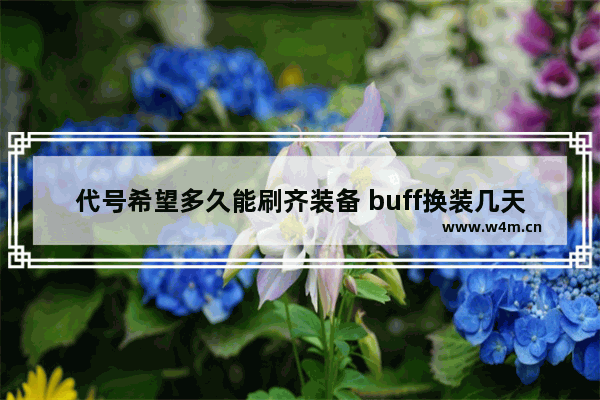 代号希望多久能刷齐装备 buff换装几天做完