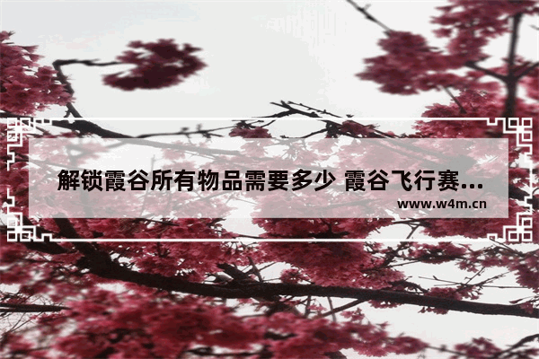 解锁霞谷所有物品需要多少 霞谷飞行赛道怎么进去