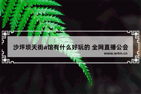 沙坪坝天街a馆有什么好玩的 全网直播公会排名前十名