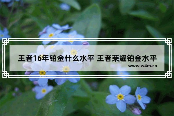 王者16年铂金什么水平 王者荣耀铂金水平