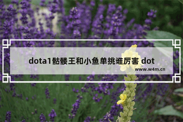 dota1骷髅王和小鱼单挑谁厉害 dota里面英雄怎么出装备 请表明出门装和前期装后期装