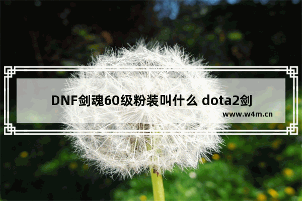 DNF剑魂60级粉装叫什么 dota2剑圣旗子