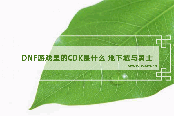 DNF游戏里的CDK是什么 地下城与勇士cdkey怎么填写