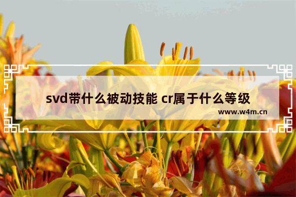 svd带什么被动技能 cr属于什么等级