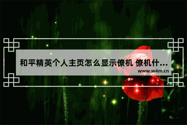 和平精英个人主页怎么显示僚机 僚机什么意思和平精英