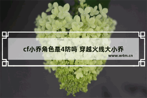 cf小乔角色是4防吗 穿越火线大小乔