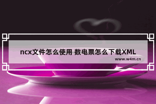 ncx文件怎么使用 数电票怎么下载XML格式