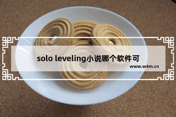 solo leveling小说哪个软件可以看 地下城与勇士solo