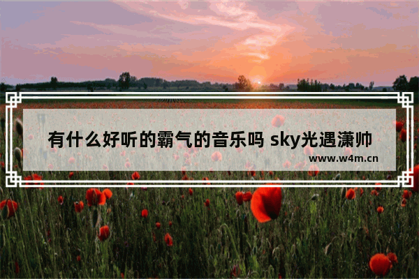 有什么好听的霸气的音乐吗 sky光遇潇帅哥