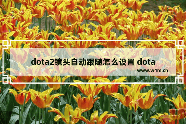 dota2镜头自动跟随怎么设置 dota2里镜头随着英雄移动要怎么关