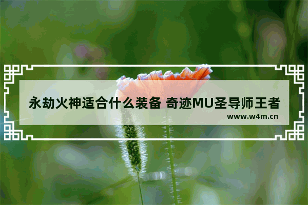 永劫火神适合什么装备 奇迹MU圣导师王者披风合成需要+4以上的卓越物品 请问卓越都没有追加 怎么合成