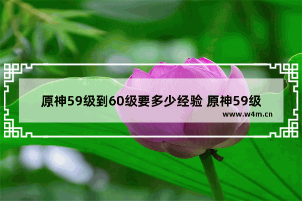 原神59级到60级要多少经验 原神59级牛逼吗