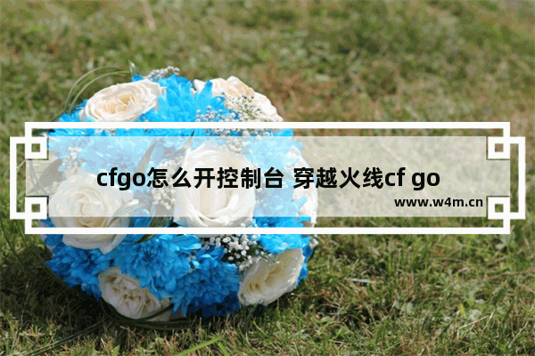 cfgo怎么开控制台 穿越火线cf go