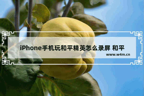 iPhone手机玩和平精英怎么录屏 和平精英厨房操作