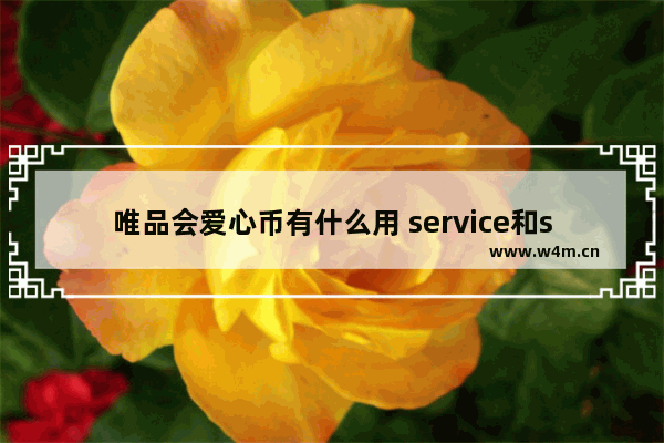 唯品会爱心币有什么用 service和server和servant区别