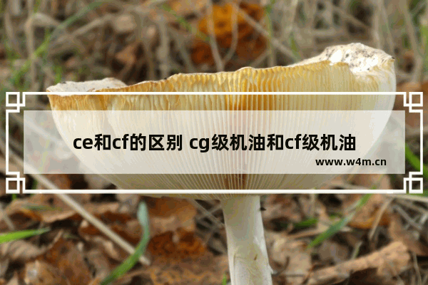 ce和cf的区别 cg级机油和cf级机油有什么区别