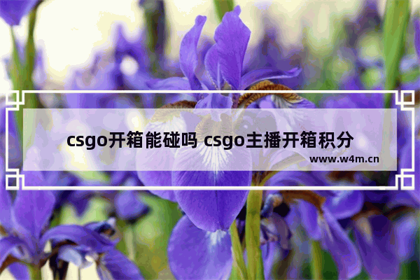 csgo开箱能碰吗 csgo主播开箱积分赛怎么玩