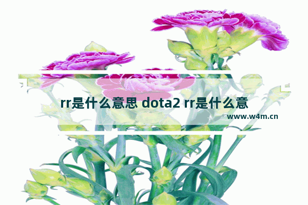 rr是什么意思 dota2 rr是什么意思 dota2