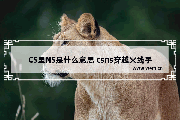 CS里NS是什么意思 csns穿越火线手机