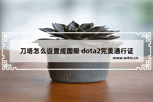 刀塔怎么设置成国服 dota2完美通行证更换